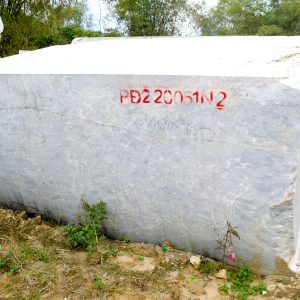 PD220051N2